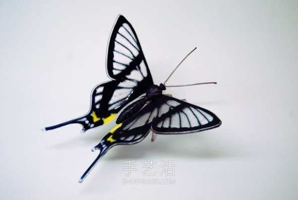 Realistic butterfly glass sculpture! Based on the endangered butterfly