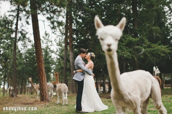 The 25 most romantic wedding photos in 2014 to recall the sweetest time