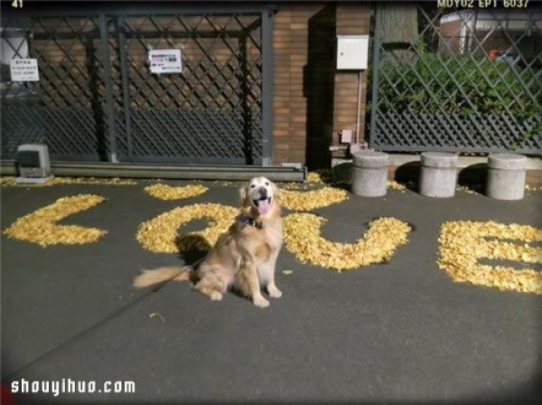 The cute security guard uses fallen leaves to DIY heart-warming patterns and text