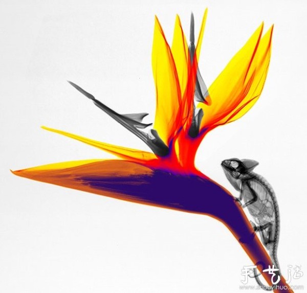 Creative photography works like ink painting