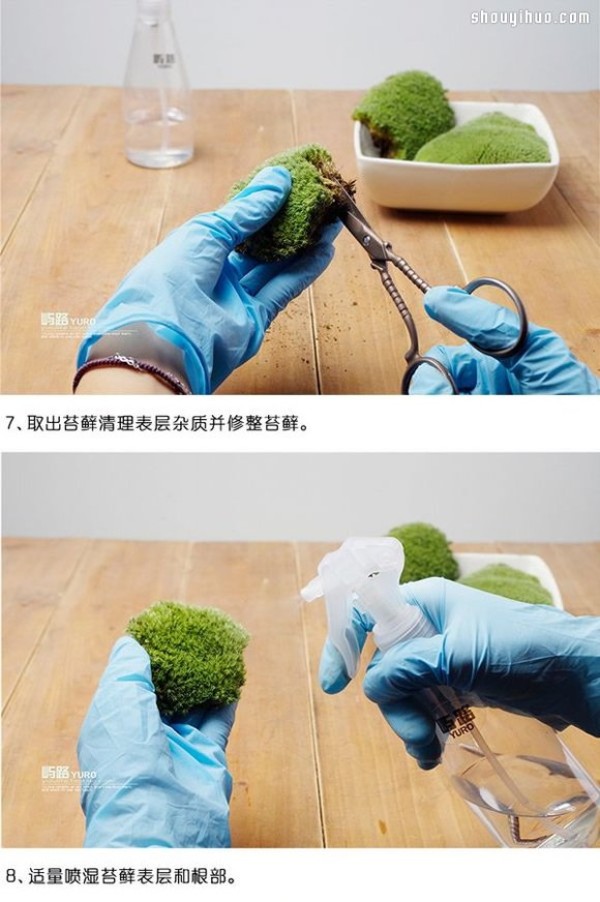 Detailed illustrated tutorial on materials and methods for making moss micro-landscapes