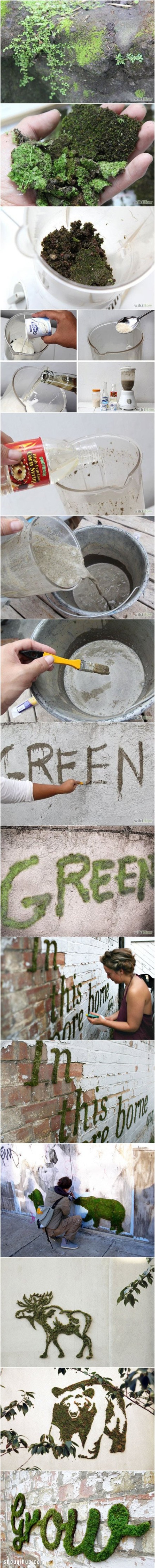 Creative street graffiti method uses culture medium to DIY living patterns