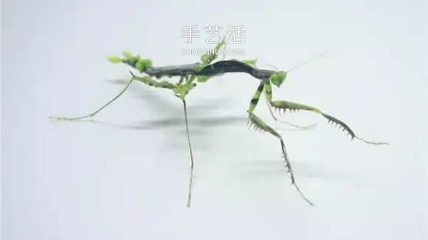 The extremely realistic insect glass sculpture is restored one to one! 