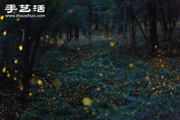 Japanese photographer Miyatake Takehitos stunning nature and landscape photography