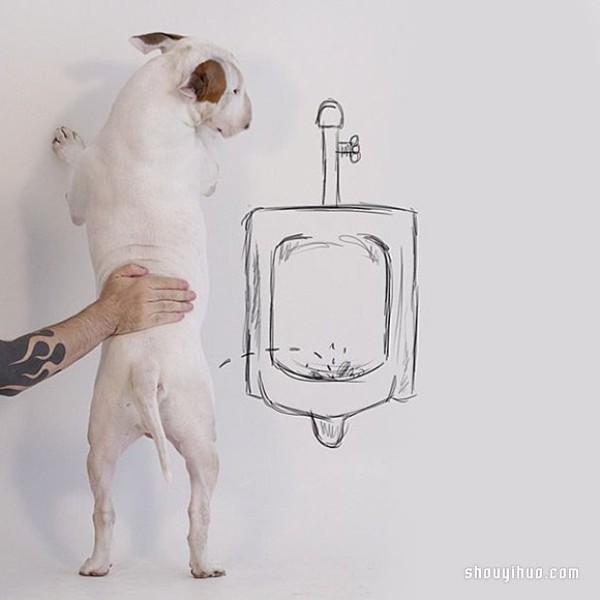 Graffiti on the wall: Turn your pet dog into an interesting illustration work