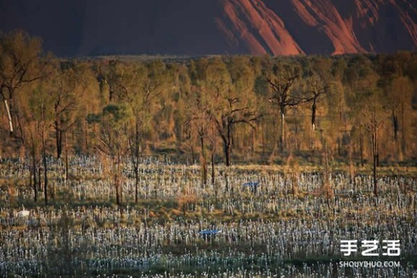 50,000 light bulbs DIY create a field of light that shines in the heart of Australia