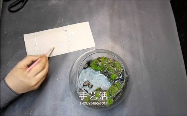 DIY micro-landscape production steps detailed video tutorial