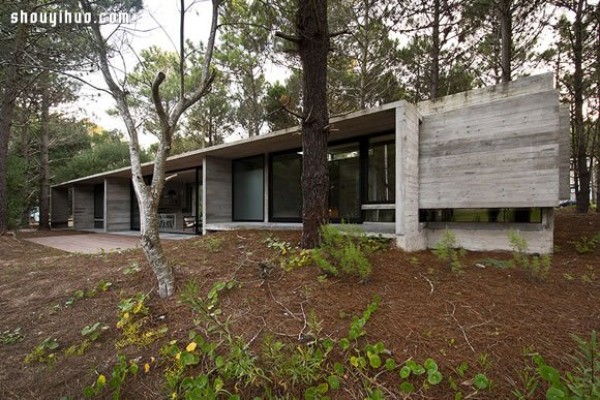 Residence decoration design of concrete villas in the jungles of Argentina