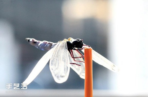 Tiny brilliant luster! Glass insect sculpture that tests your eyesight and skill