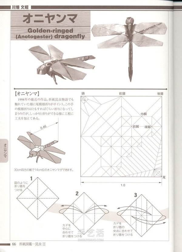 Handmade origami realistic dragonfly illustration, how to fold a paper dragonfly