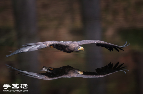 A shocking reflection photo of the same scenery on the water