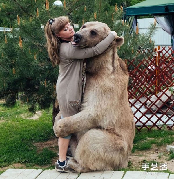 Just like a fairy tale, a big bear can also become a partner of humans