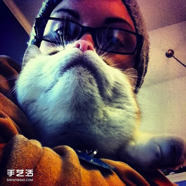 Funny selfie photos using pet cats to create cute beards