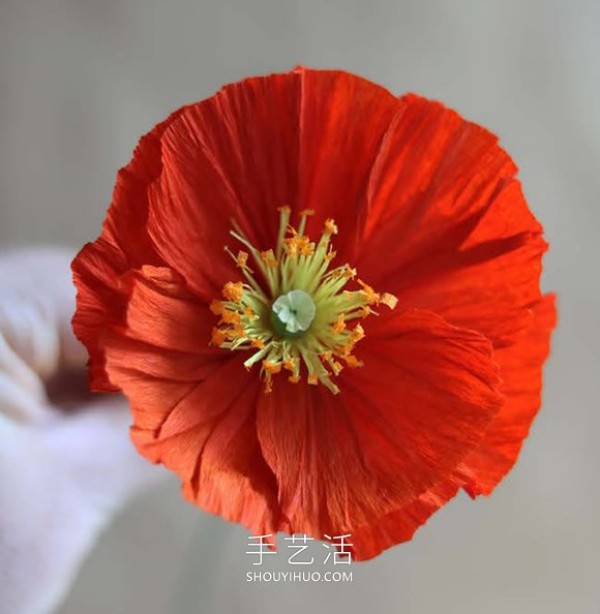 Tutorial on how to make poppies with crepe paper