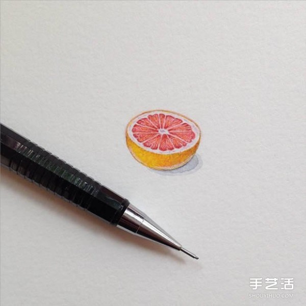 Fine miniature illustrations challenge the limits of detail