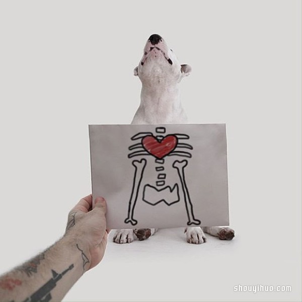 Graffiti on the wall: Turn your pet dog into an interesting illustration work