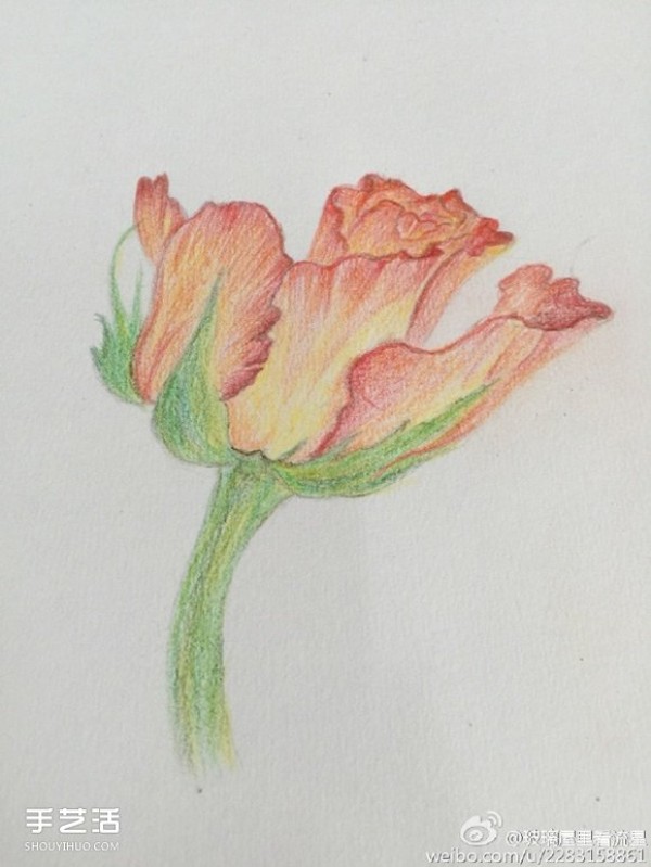 Colored lead flower painting tutorial, flower color lead painting step by step