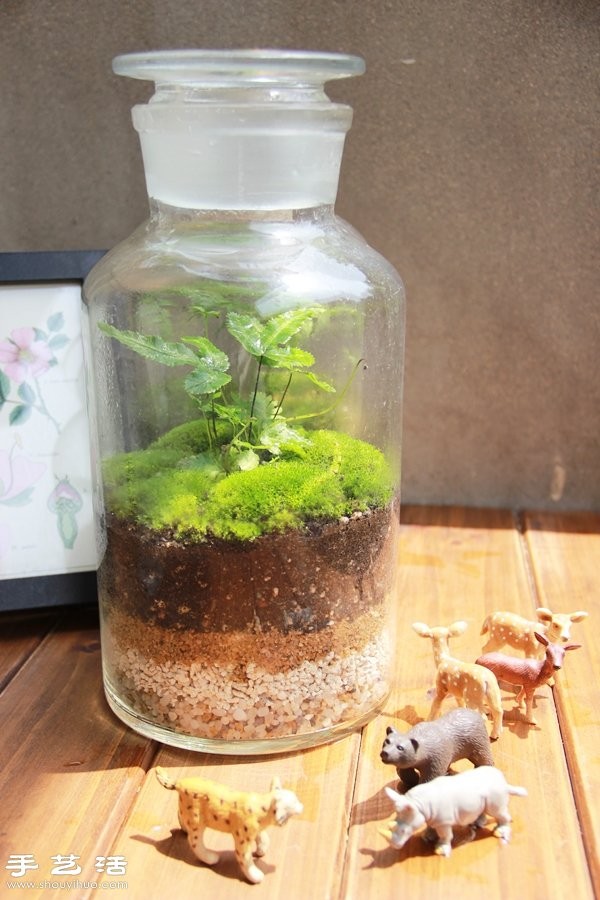 DIY cute moss landscaping, homemade beautiful moss micro-landscape