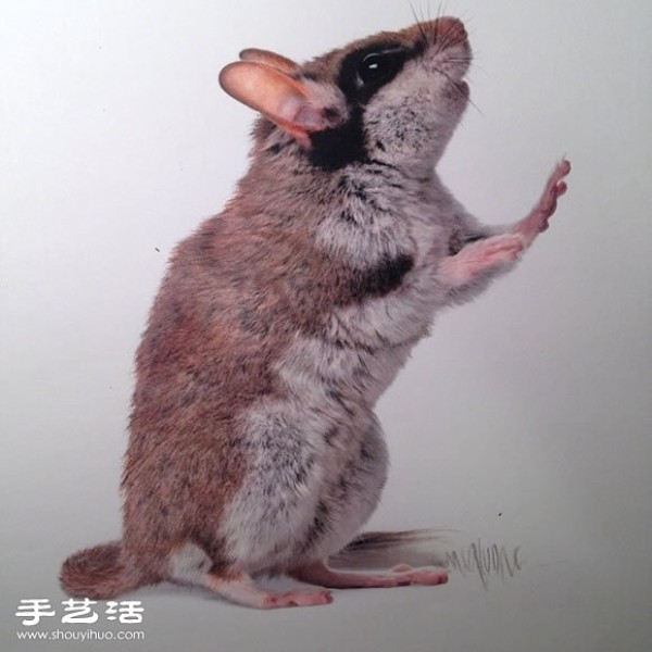 Using an ordinary paintbrush to hand-draw lifelike animal paintings