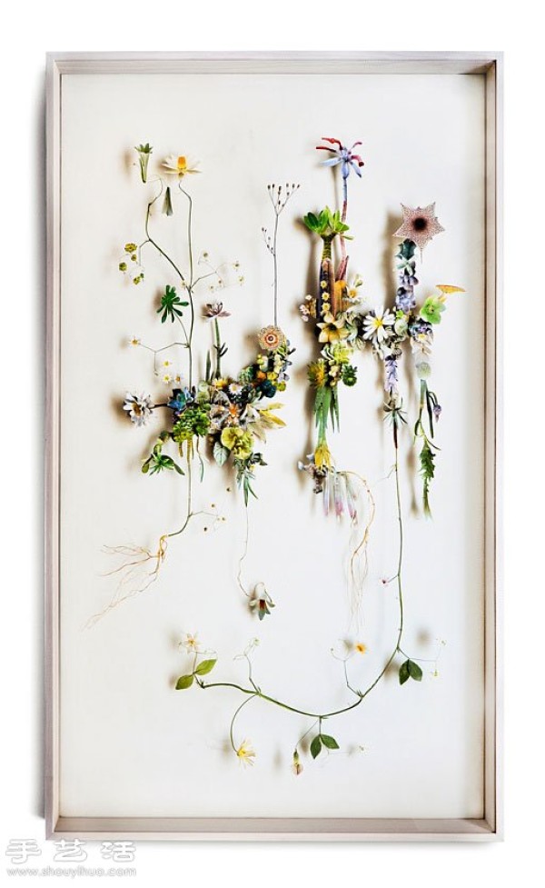 Plant and flower collage DIY beautiful and poetic decorative painting