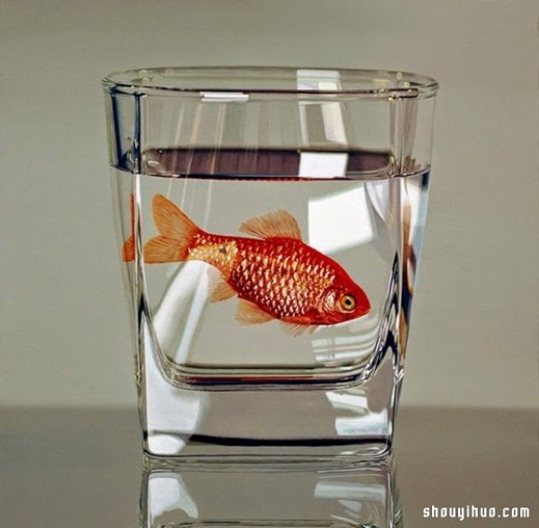 Young-Sung Kims hyper-realistic animal paintings