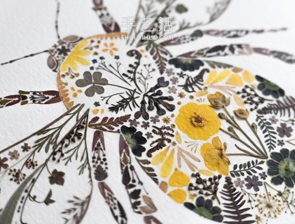 Use pressed flowers and leaves to create beautiful animal illustrations