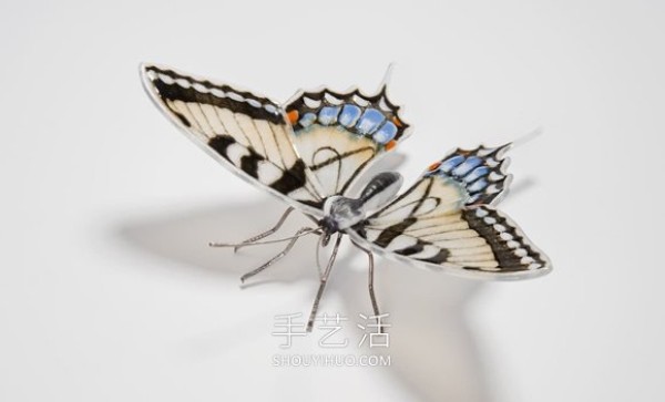 Realistic butterfly glass sculpture! Based on the endangered butterfly