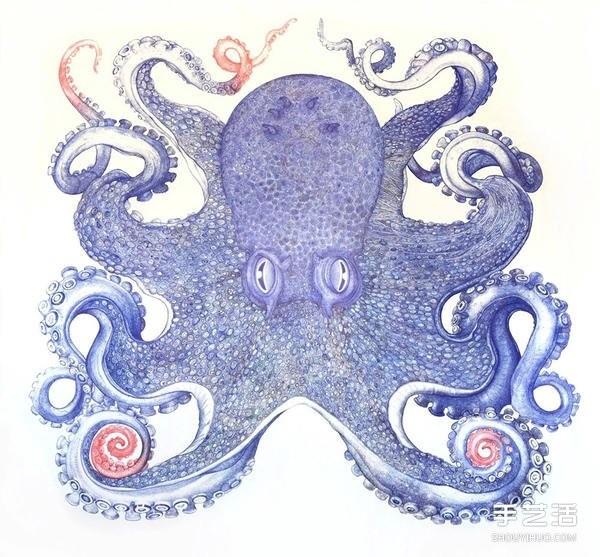 It took one year to draw a realistic and domineering giant octopus with a ballpoint pen