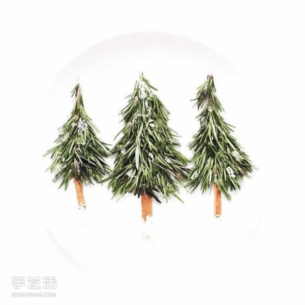 Art on the Plate uses vegetable and fruit kitchen waste to create a culinary canvas