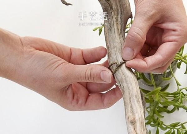 Charming chandelier decoration! Reuse of dead branches and glass jars DIY