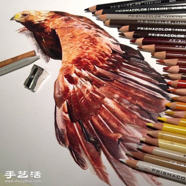 Using an ordinary paintbrush to hand-draw lifelike animal paintings