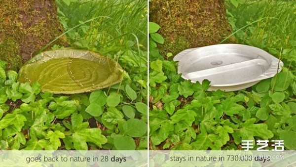 A leaf dinner plate design that truly decomposes naturally and returns to the earth in 28 days