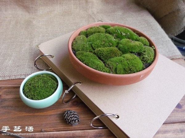 DIY cute moss landscaping, homemade beautiful moss micro-landscape