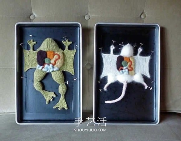 Animal anatomy knitted works! Turn anatomy scenes into cute displays