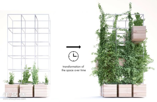 The smart design of Beijing Home Cafe with natural partitions of plants