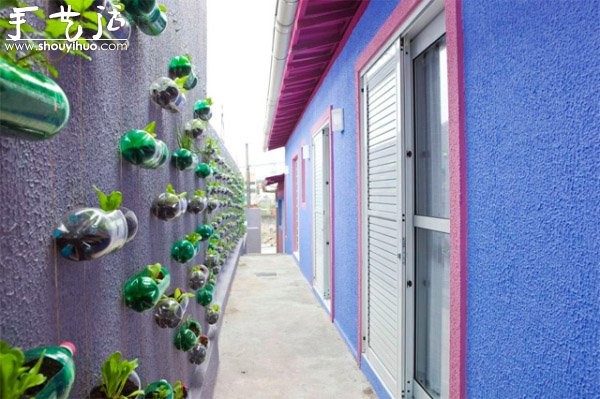 DIY vertical plastic bottle garden on the wall