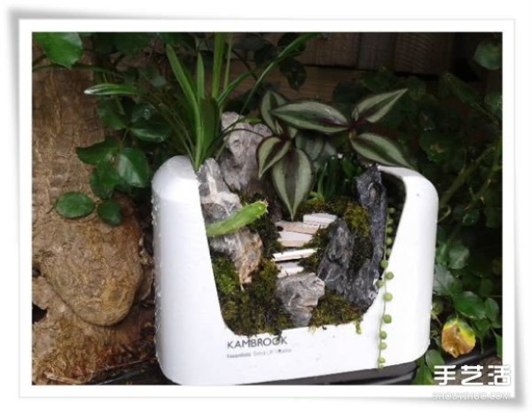 Micro Garden: Beautiful Bonsai Made by Renovating Used Toasters