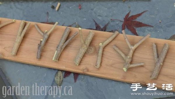 Handmade environmentally friendly clothes hangers made of branches + wooden boards