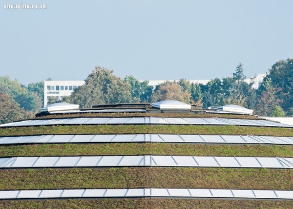 Huge mushrooms landed in Denmarks 1,000-square-foot giant street sports park