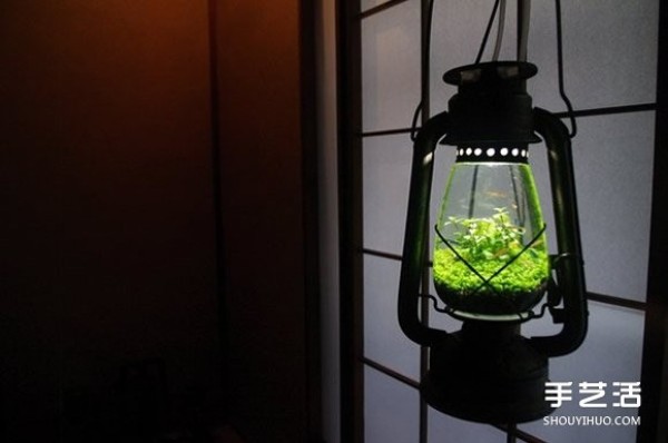 Of course you can also grow potted plants if you transform kerosene lamps into aquariums