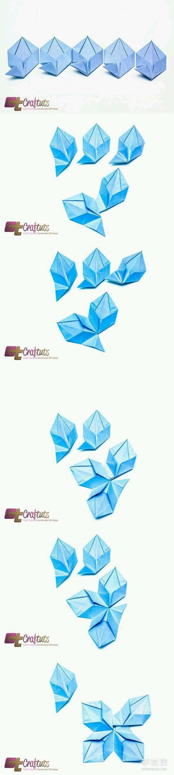 Origami five-pointed star flower illustration with detailed steps of folding a five-pointed star flower