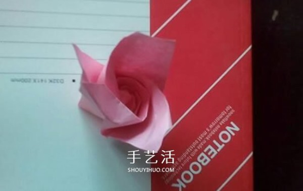 How to Fold a Champagne Rose Illustration of the Origami Champagne Rose