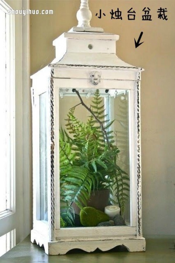 Creative potted plant DIY using waste