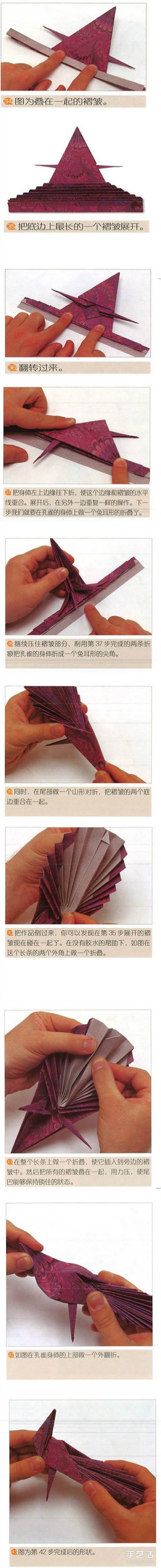 Origami Peacock Opening Illustrated Tutorial How to Fold a Peacocks Tail