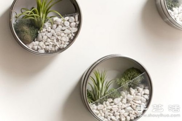 Waste utilization: 12 waste utilization tips for DIY creative potted plants