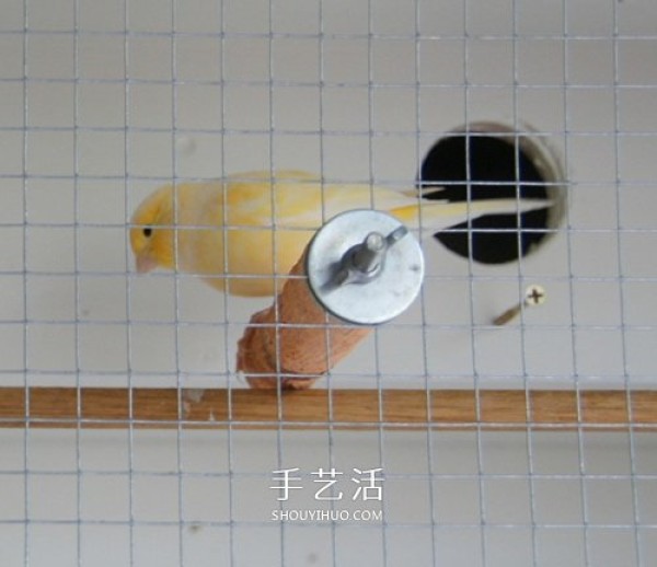 The process of transforming an old bookcase into a bird cabinet and the method of making a homemade wooden bird cabinet