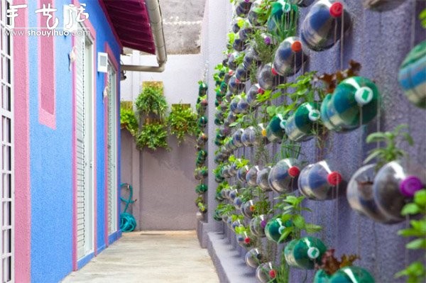 DIY vertical plastic bottle garden on the wall