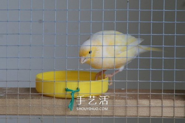 The process of transforming an old bookcase into a bird cabinet and the method of making a homemade wooden bird cabinet