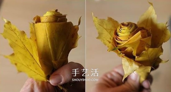 How to make roses with maple leaves, tutorial simple DIY method of maple leaf roses