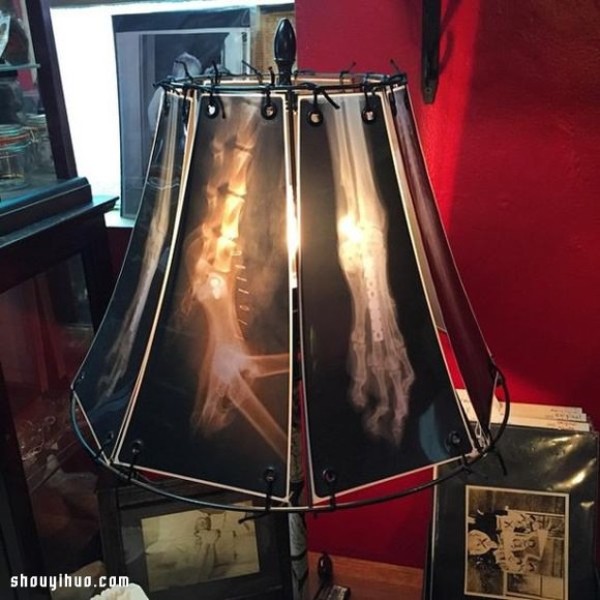 Waste animal bone X-rays to create alternative light-transmitting lampshades